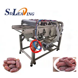 Food Grade Stainless Steel Palm Dates Processing Machine Automatic Dates Washing Pitting Drying Sorting Machinery for Industry thumbnail-2