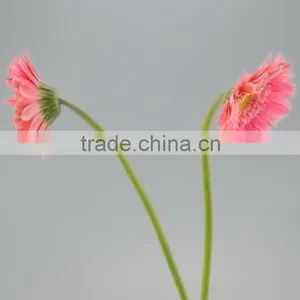 Excellent Quality Honey Products for 2016 Gerbera Flower thumbnail-2