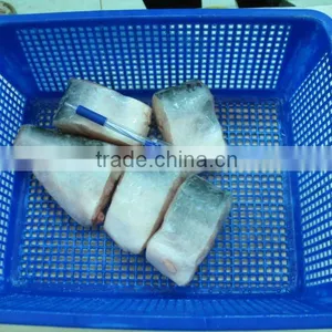 FROZEN PANGASIUS STEAK thumbnail-1