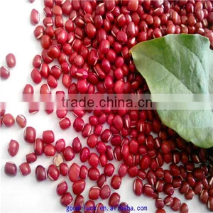 High Quality New Crop Azuki Beans thumbnail-3