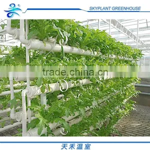 Large 10m Span Multi-Span Plastic Vegetable Greenhouse thumbnail-5
