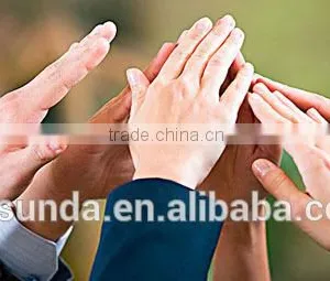 Sales Agent Distributors thumbnail-1