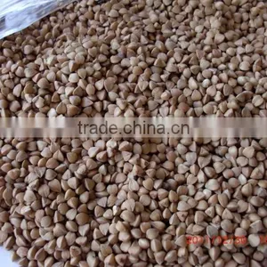 Chinese Roasted Buckwheat Kernel to GEORGIA AND RUSSIAN thumbnail-2