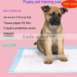 Qick-dry 5 Layer Disposable Puppy Training Pad thumbnail-1