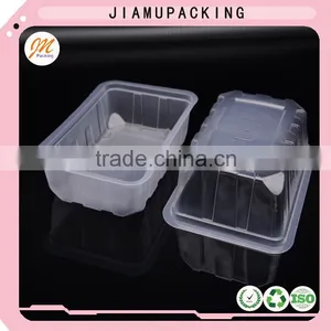 Plastic Clear or Semi-transparent Blister Food Tray Container thumbnail-2