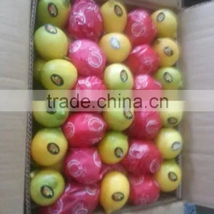 Lemon for Sale thumbnail-1