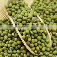 MUNG BEANS thumbnail-3