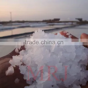Cooking Salt thumbnail-2