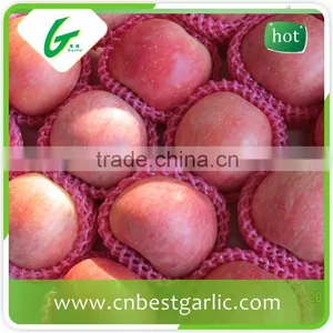 Fresh Sweet Big Fuji Apple From Chinese Exporter thumbnail-5