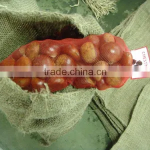 Chestnut Type Raw Chestnut thumbnail-6
