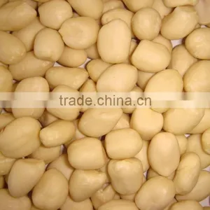 Blanced Peanut Kernels thumbnail-1