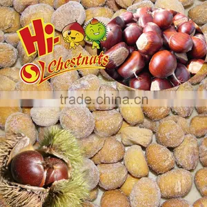 Hot Sale Best Quality Frozen Chestnuts in China thumbnail-6