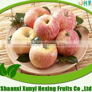 Apple Fuji thumbnail-1