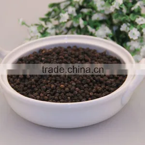 Black Pepper thumbnail-1