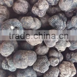 Best Sale for Frozen Summer Truffle 2015 thumbnail-2