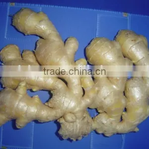 2014Organic Fresh Ginger thumbnail-6