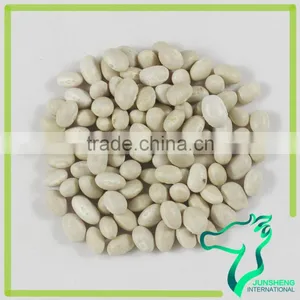Navy Bean Small White Kidney Beans Haricot Beans thumbnail-1