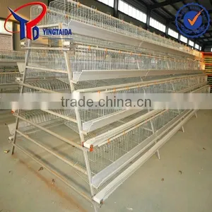 Broiler Farn Equipment thumbnail-6