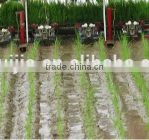 8 Rows 238mm Electric Key Start Rice Transplanter With Hydraulic Device and Cheaper Rice Transplanter Price thumbnail-3