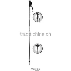 Ski Pole thumbnail-1