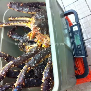 Norwegian Red King Crab, King Crab Legs With Clusters,Live Red King Crab Mud Crab, Live Dungeness Crab thumbnail-5