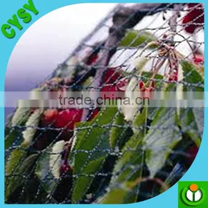 Green Color PE Climbing Plants Support Plastic Network thumbnail-6