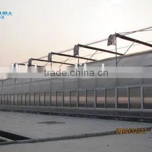 Commercial PC Sheet Greenhouse For Sale/Used For Vegetable&Fruit thumbnail-3