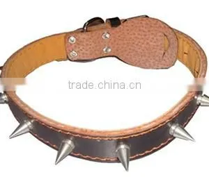 Dog Collar w/ Metal thumbnail-1