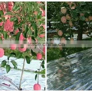 High Quality Silver Reflective Ground Cover Mat thumbnail-5