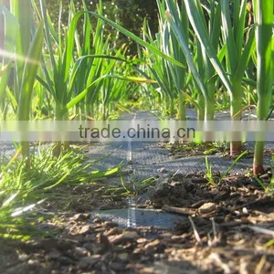 2016 New Style Black Plastic Mulch Film thumbnail-6