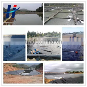Hdpe Waterproofing Geomembrane for Pond Liner thumbnail-2