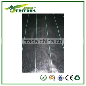High-quality Plastic Ground Cover for Agriculture thumbnail-2