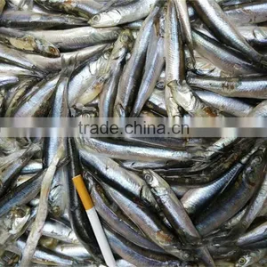 Good Quality Frozen Whole Anchovy for Sale thumbnail-3