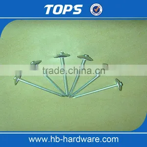 Smooth Shank Galvanized Roofing Nails/gal Roofing Nails thumbnail-6