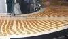 Endless Cotton Biscuit Webbing for Bake Biscuit thumbnail-2