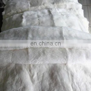 Real Rex Rabbit Fur Plate thumbnail-3