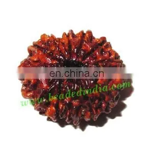 Rare Nepali Rudraksha Beads 12 Mukhi (twelve Face), Size: 20x22mm thumbnail-1