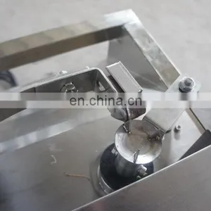 Food Grade Fruit Vegetable Peeling Machine thumbnail-7