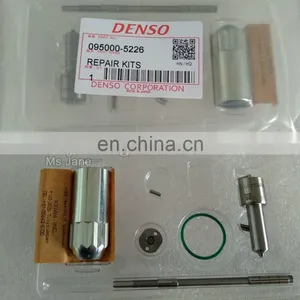 Repair Kits For 095000-5226 thumbnail-1