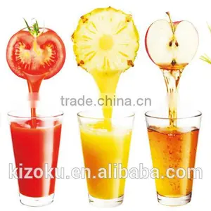 2016 Home Appliances Whole Slow Juicer Cold Press Juicer&SP-DJN-001 Slow Juicer thumbnail-2