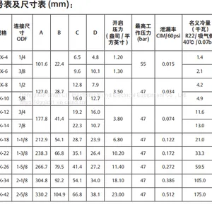 Emerson Check Valve ACK-4、ACK-6、ACK-8、ACK-10 thumbnail-2