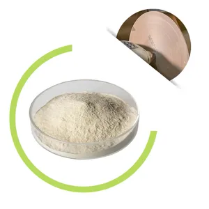 High Quality Food Grade Laccase Powder 10000 U/kg Enzyme Preparation CAS 80498-15-3 for the Paper Industry thumbnail-1