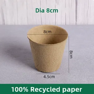 Biodegradable Seedling Tray for Organic Farming, 50 Cells, 60x40cm, Soil Ph Neutral thumbnail-3