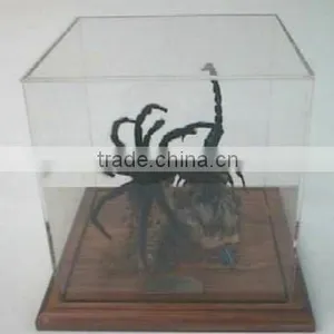 GH-RZ440 Made In China High Quality Customized Clear Transparent Acrylic Cover thumbnail-2