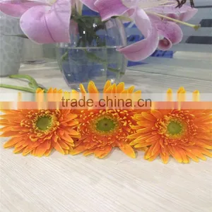 Export Decorative Fresh Cut Orange Gerbera Flower Cute For Decoration Wholesale thumbnail-6