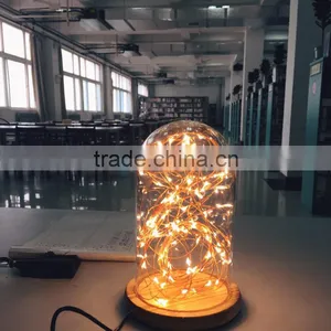 2016 High Quality New Arrival Christmas Decoration Led Bottle String Light Supplier's Choice thumbnail-1