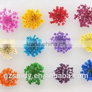 3D Nail Art Acrylic Flower Nail Decoration /nail Real Dried Flowers ZX:GH750 thumbnail-1