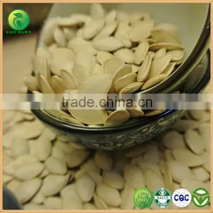 Market Price Wholesale Pumpkin Seeds, Shine Skin Pumpkin Seeds Price thumbnail-2
