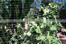 Butterfly Protection Netting thumbnail-1
