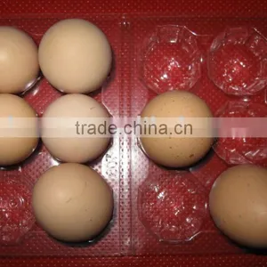 PVC Eggs Blister Tray thumbnail-1